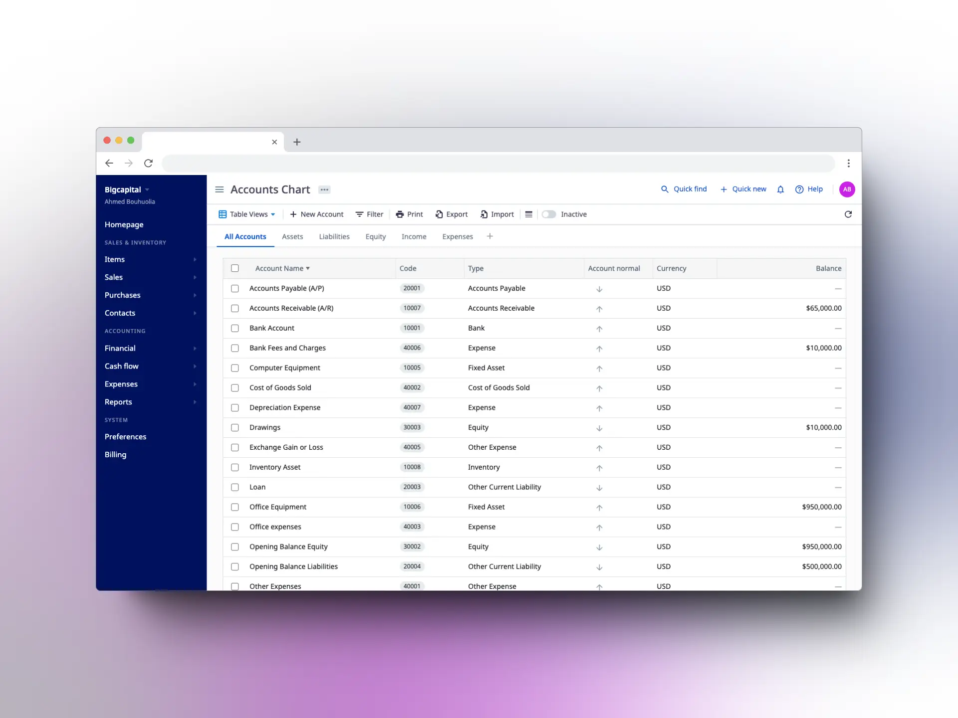 Screenshot of Bigcapital software